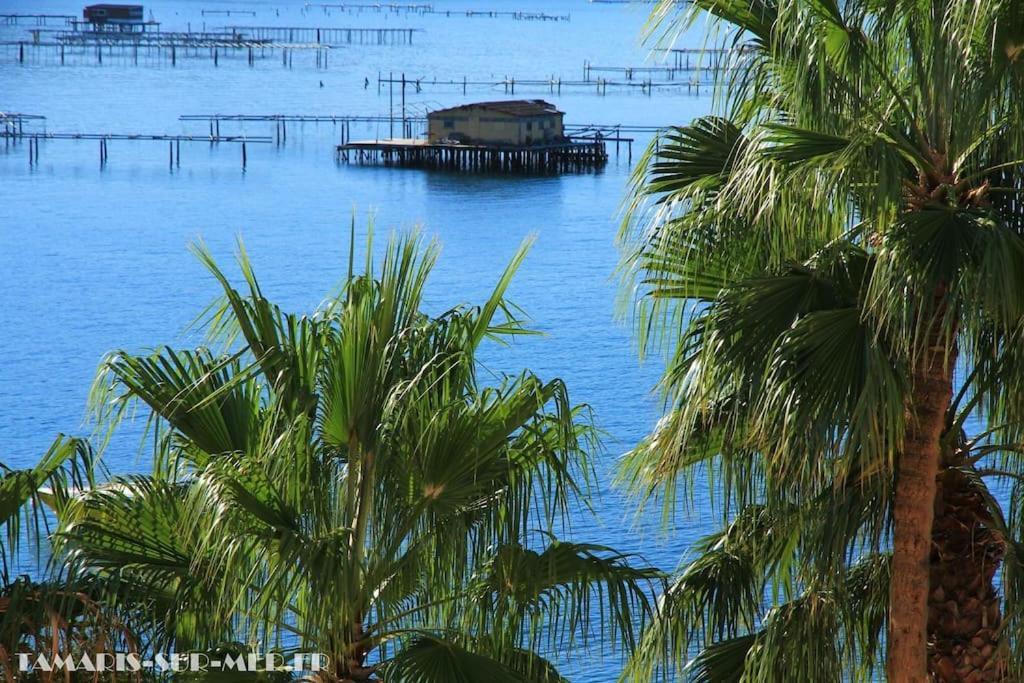 Apartamento Port tamaris La Seyne-sur-Mer Exterior foto